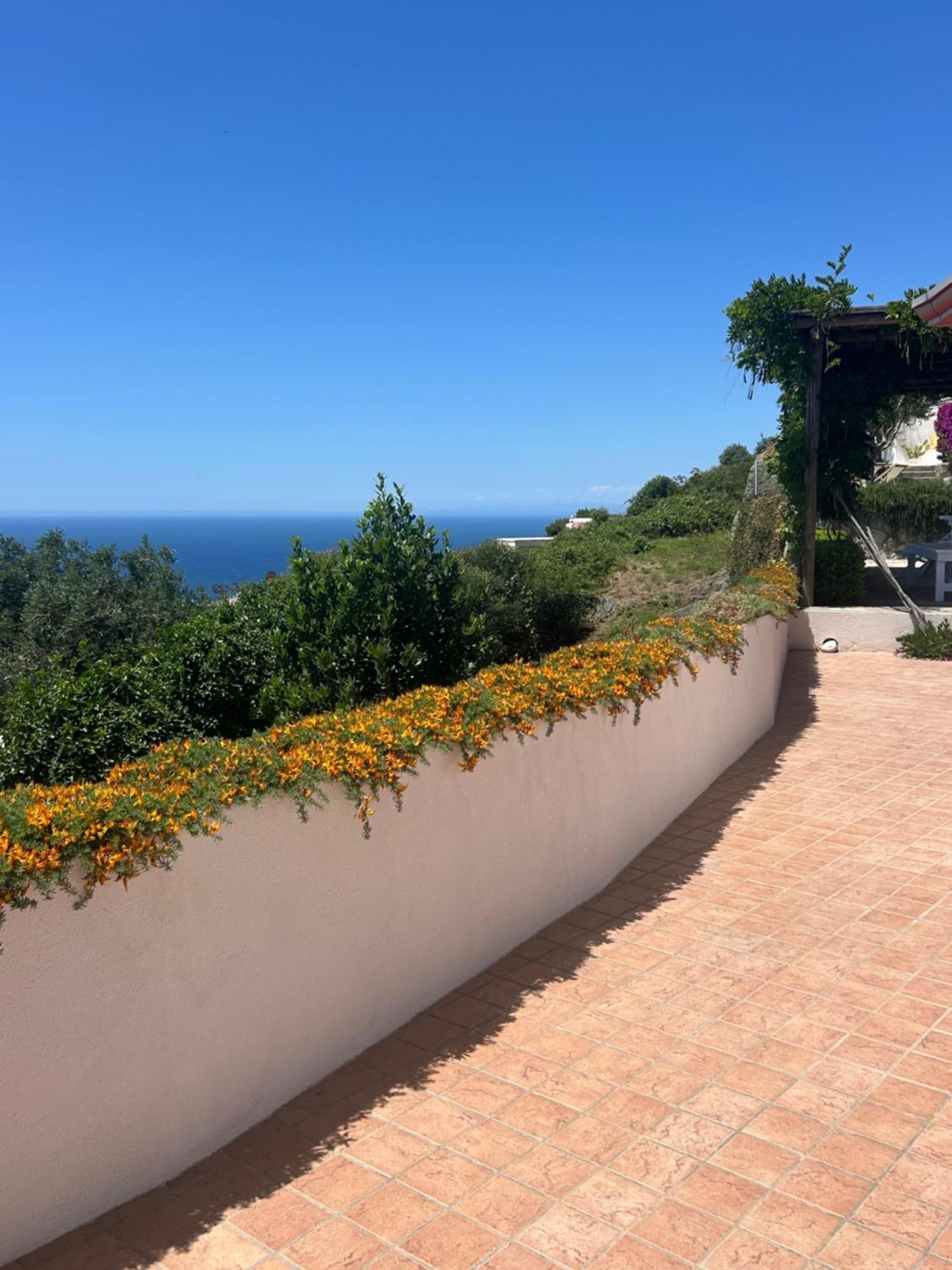 Villa Inarime Ischia Ngoại thất bức ảnh