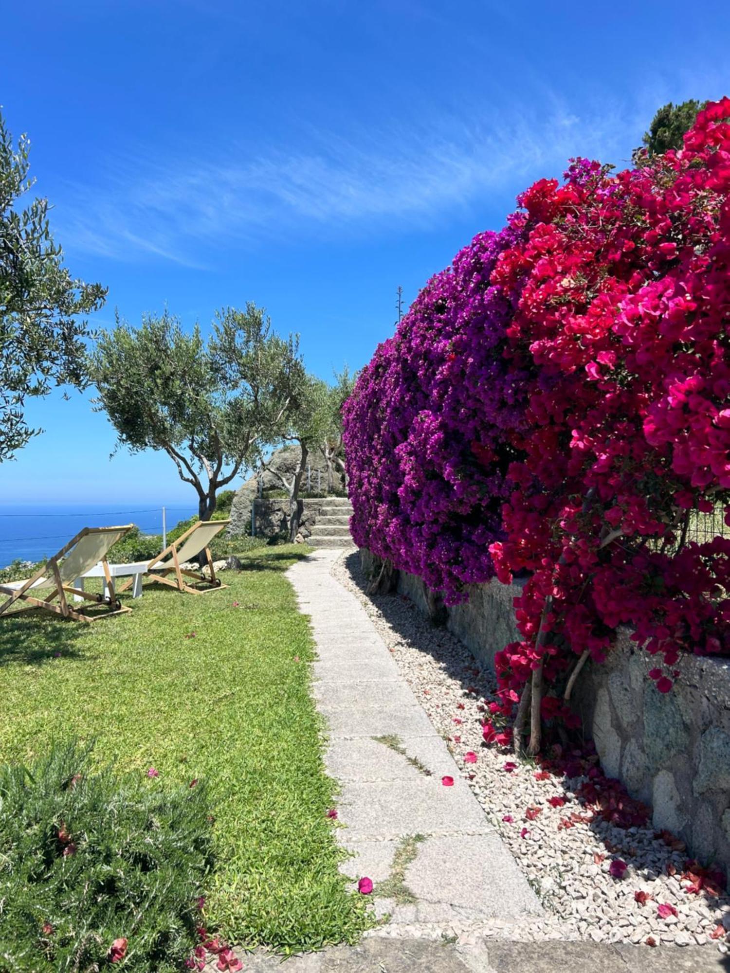 Villa Inarime Ischia Ngoại thất bức ảnh