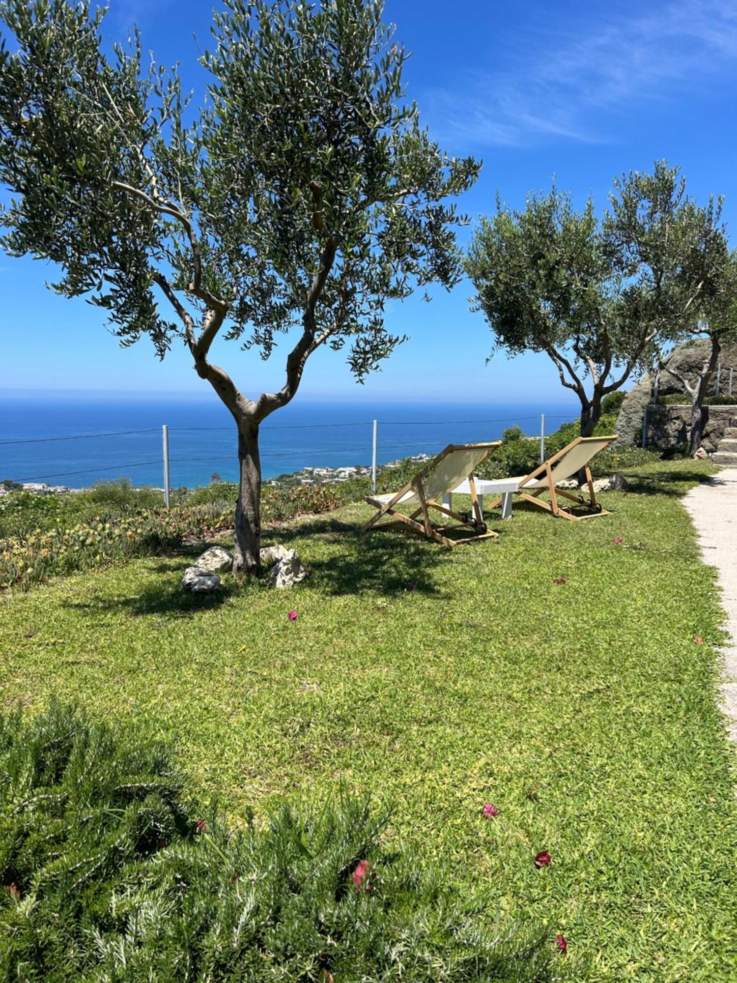 Villa Inarime Ischia Ngoại thất bức ảnh
