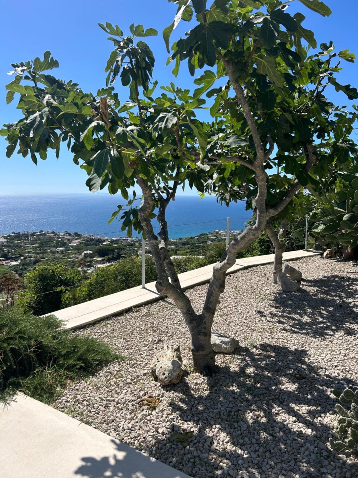 Villa Inarime Ischia Ngoại thất bức ảnh